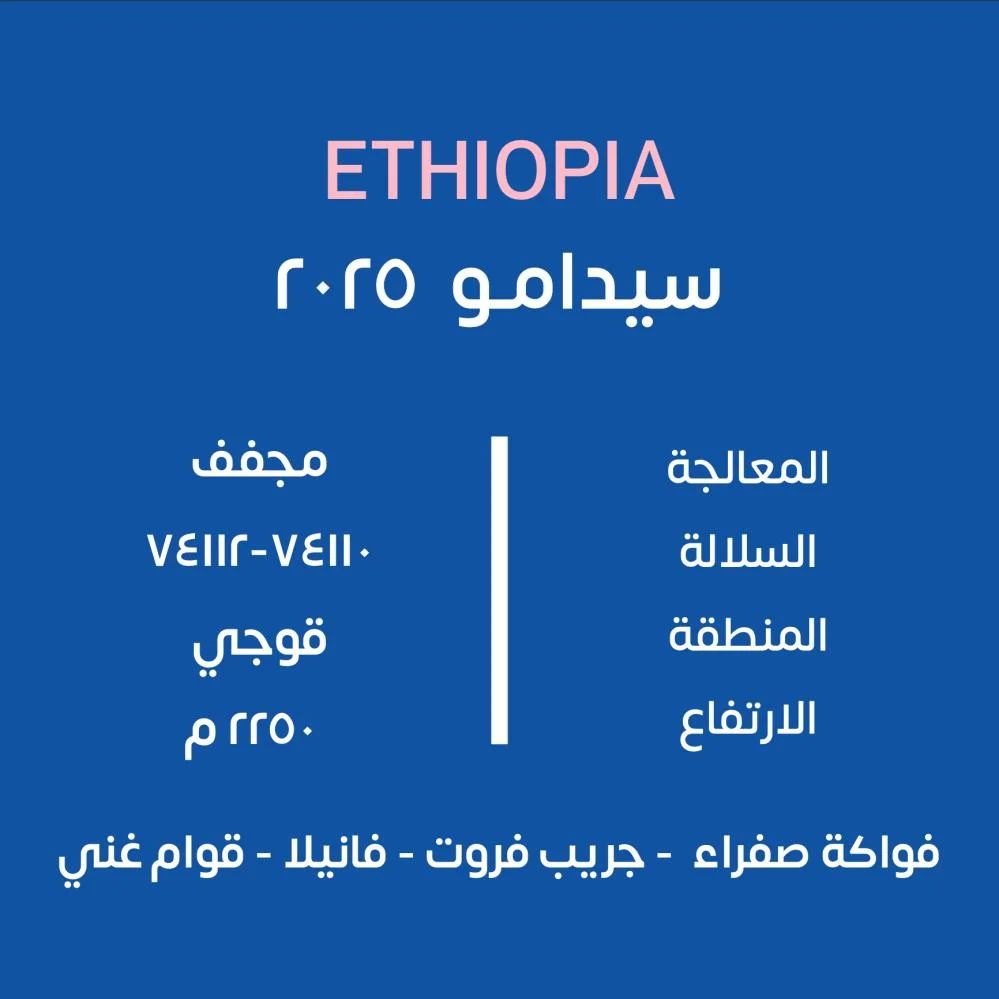 KUF | Ethiopia Sidamo 250G
