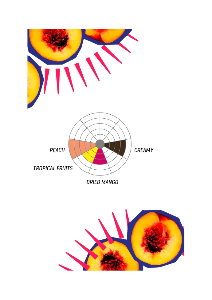 Afrutado Peach - 200g