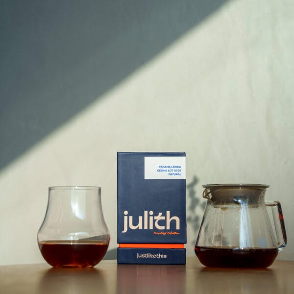 Panama Lerida Geisha Lot 0535 Natural - 250g