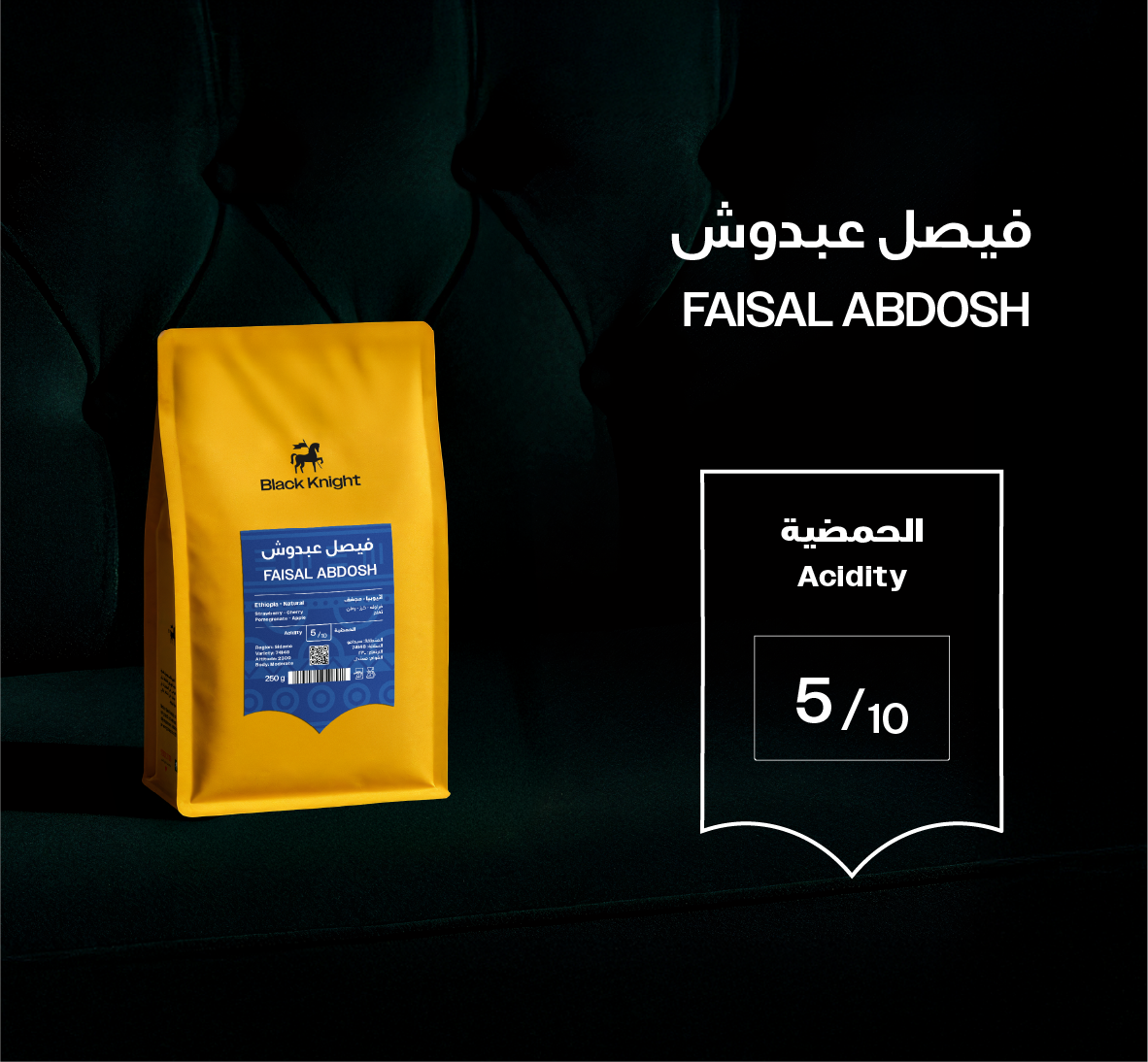 فيصل عبدوش - إثيوبيا