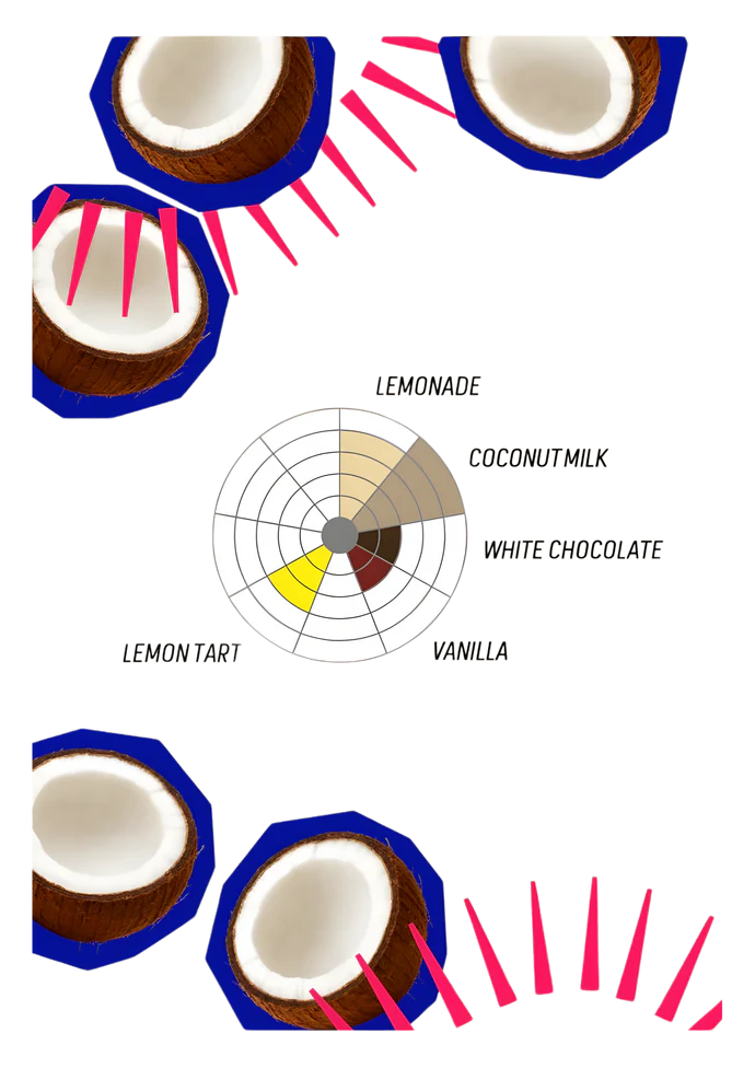 Afrutado Coconut - 200g