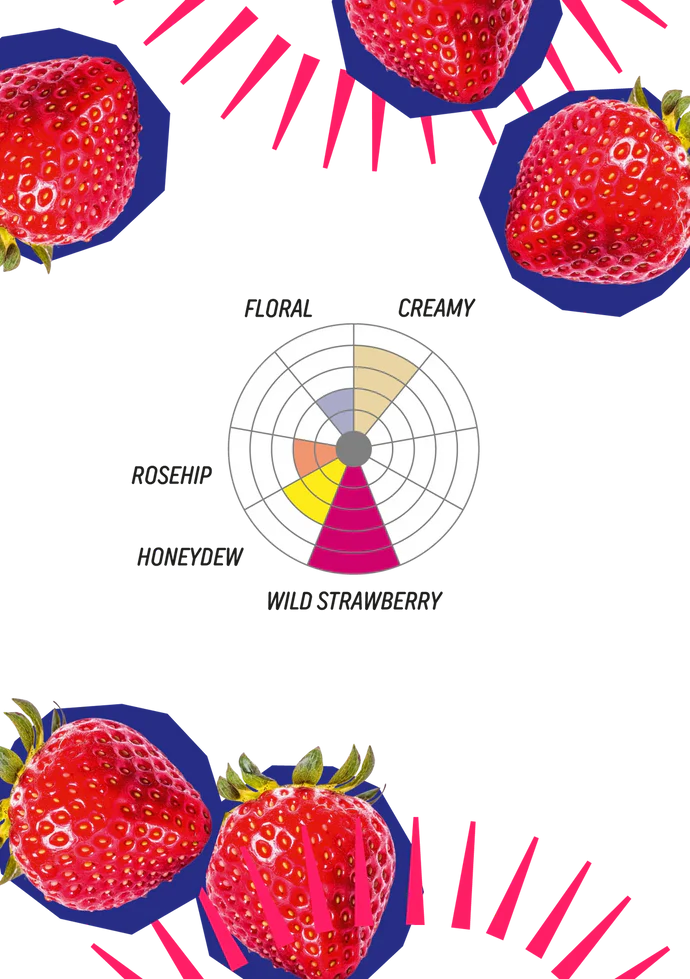 Afrutado Strawberry - 200g