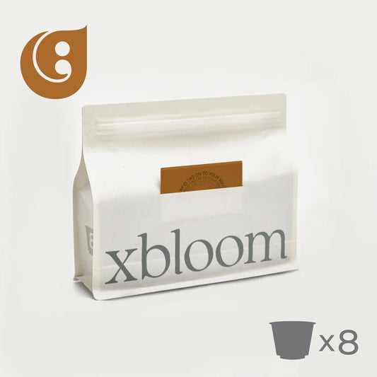 Yirgacheffee Gelcha (8 xPods) - xbloom