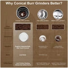 BioloMix Electric Burr Coffee Grinder