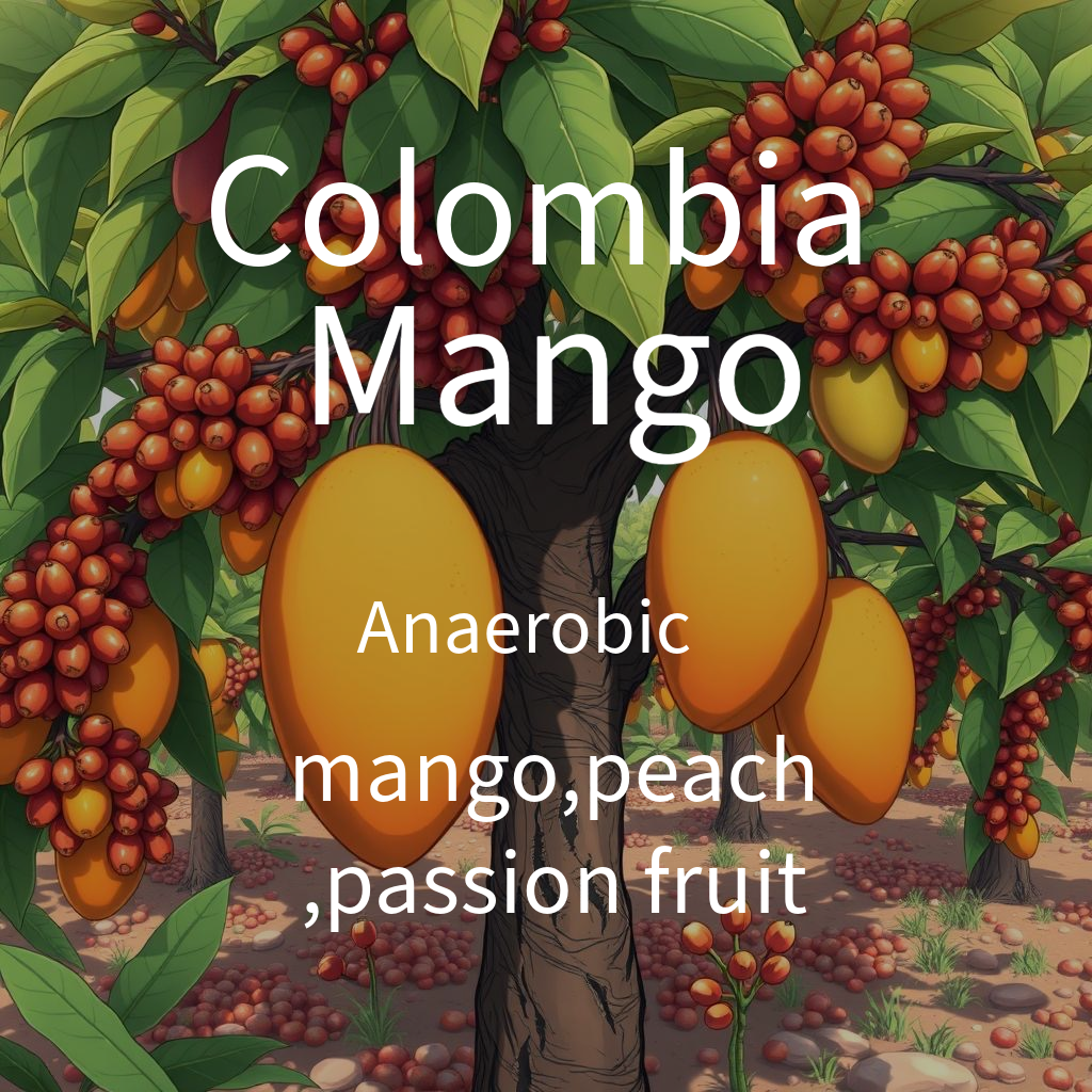 Mango Colombia