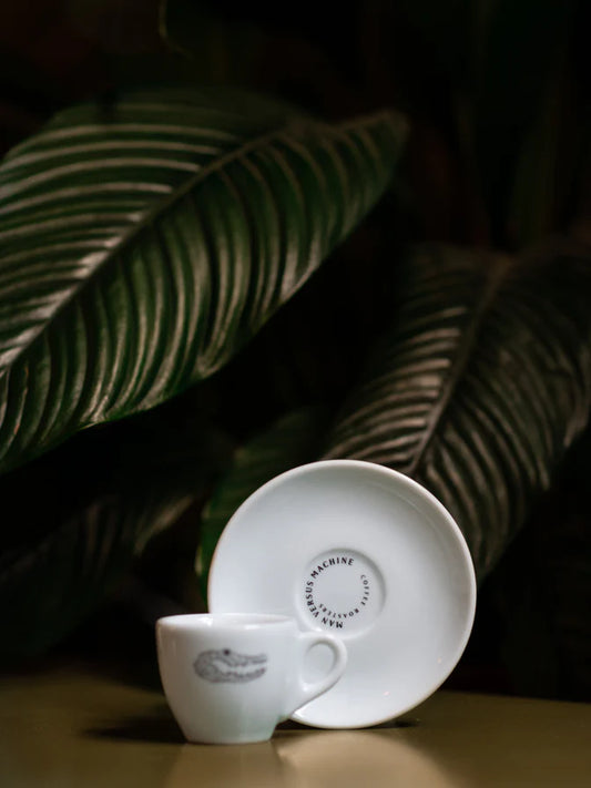 MVSM CROCODILE LOGO ESPRESSO CUP
