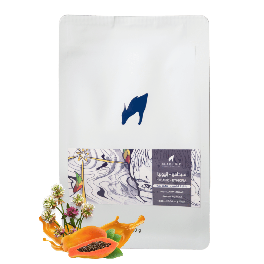 Ethiopia Sidamo